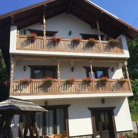 Pensiunea Rustic Borşa المظهر الخارجي الصورة