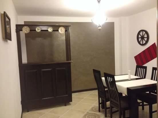 Pensiunea Rustic Borşa المظهر الخارجي الصورة