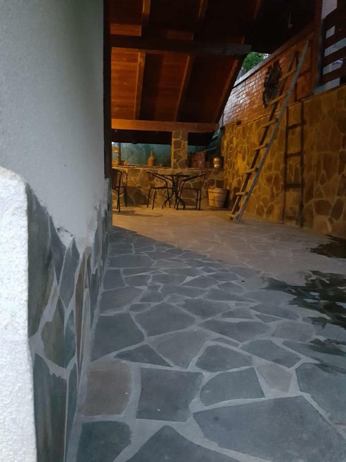 Pensiunea Rustic Borşa المظهر الخارجي الصورة