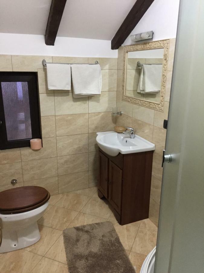 Pensiunea Rustic Borşa المظهر الخارجي الصورة