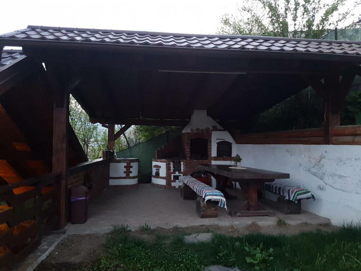 Pensiunea Rustic Borşa المظهر الخارجي الصورة